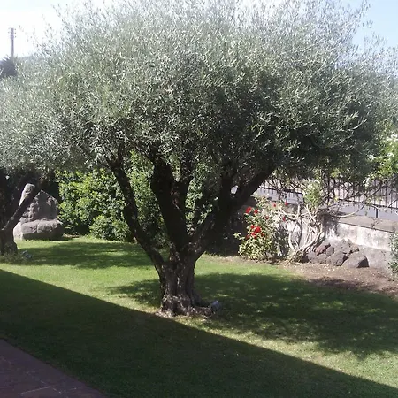 Scatitti House *